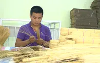 Sinh ra từ làng: Sản xuất tăm tre với doanh thu 3 tỷ/năm (17h20, VTV6)