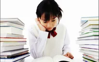 Chế độ dinh dưỡng cho... sĩ tử