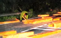 Khánh Hòa: Lâm tặc ngoan cố chống người thi hành công vụ