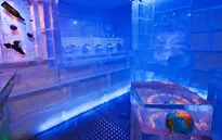 Tránh nóng với quán rượu bằng băng tại Praha