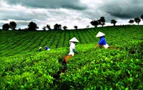 Thái Nguyên: Kết hợp phát triển du lịch với làng nghề truyền thống