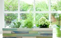 Trang trí cửa sổ với "vườn treo" tự tạo