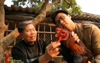 Gà Đông Tảo - Món quà Tết độc đáo của Hưng Yên