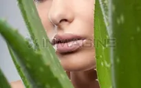 Làm đẹp da bằng thảo dược, Collagen
