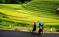 Sức hấp dẫn của Mù Cang Chải
