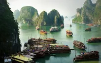 Vụ 7.000 lít dầu chứa hóa chất siêu độc và số phận Vịnh Hạ Long