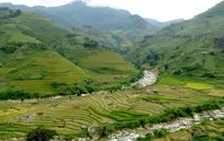 Lào Cai tưng bừng kỷ niệm 110 năm du lịch Sa Pa