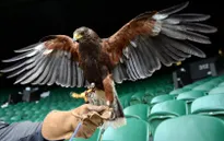Toàn cảnh Wimbledon trước ngày khai mạc