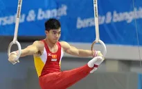Xem lại những pha biểu diễn mãn nhãn của TDDC Việt Nam năm 2013