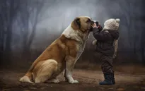 Khi trẻ em và thú cưng ở bên nhau