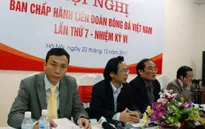 Hoài nghi chức danh Phó chủ tịch phụ trách chuyên môn VFF