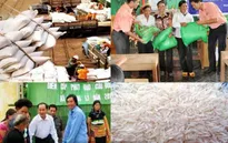 Hỗ trợ 4 tỉnh hơn 3.000 tấn gạo