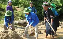 Chương trình tình nguyện mùa đông năm 2013