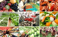 Vi phạm ATVSTP sẽ bị xử phạt cao gấp 7 lần hiện nay