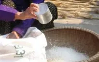 Quảng Trị: Xử lý sai phạm trong việc cấp phát gạo cứu đói