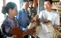 Chuyện một bệnh nhân trở thành ân nhân của làng…
