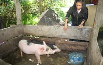 Nữ Phó Chủ tịch xã giàu tâm huyết với bản làng...
