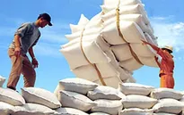 Philippines dẫn đầu thị trường nhập khẩu gạo của Việt Nam
