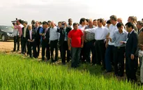 Hợp tác nông nghiệp Việt Nam - Cuba
