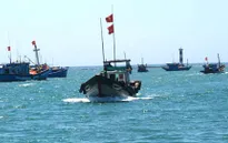 TT-Huế: Hỗ trợ cho ngư dân vươn khơi bám biển