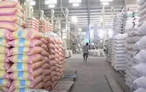 Hỗ trợ gạo cho tỉnh Điện Biên