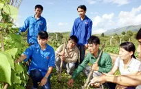 Hỗ trợ trí thức trẻ tình nguyện về nông thôn, miền núi