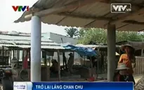 Trở lại "Làng Chan chu" sau 8 năm bị siêu bão tàn phá