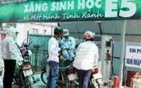 Đưa xăng sinh học vào thị trường theo đúng lộ trình