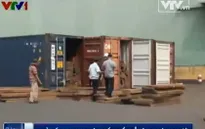 Khởi tố doanh nghiệp xuất khẩu gỗ lậu tại Bình Phước