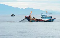 Đang đánh cá, ngư dân rơi xuống biển mất tích