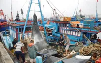 Quảng Bình: Hỗ trợ ngư dân khai thác vùng biển xa
