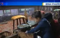 Lừa trả lương cao, 4 phụ nữ bị bán vào động mại dâm tại Malaysia