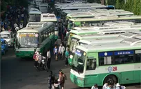 Tăng cường xử lý tài xế xe buýt sử dụng giấy phép lái xe giả