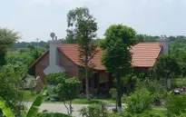 Hà Nội: Xử lý tình trạng biệt thự mọc như nấm trên đất nông nghiệp