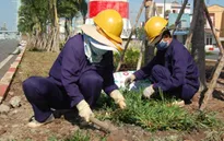 Thủ tướng yêu cầu kiểm tra toàn diện tiền lương tại DNNN