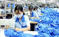 Thúc đẩy hợp tác kinh tế Trung Đông - Bắc Phi