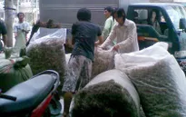 Thiếu quy hoạch vùng dược liệu, người dùng phải trả giá cao
