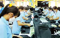 FTA Việt Nam - EU thúc đẩy đầu tư và cải tiến công nghệ