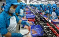 Việt Nam không phá giá cá tra, cá basa ở Hoa Kỳ