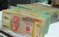 Hơn 500 DN niêm yết báo cáo kinh doanh có lãi