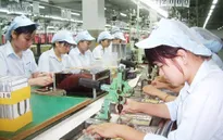 Đà Nẵng sẽ có KCN dành cho doanh nghiệp Nhật Bản