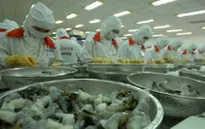 Xuất khẩu tôm sang Nhật: Việt Nam dẫn đầu