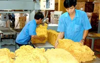 Gói tín dụng 3.000 tỷ đồng hỗ trợ DN xuất khẩu cao su