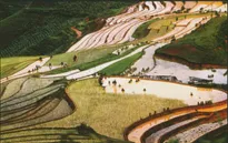 Lào Cai hưởng ứng kích cầu du lịch 2014