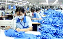 Thị phần dệt may Việt Nam tăng tại nhiều nước