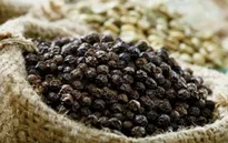 Hạt tiêu Việt Nam chiếm lĩnh thị trường thế giới