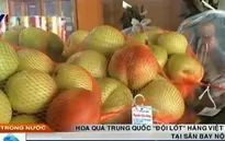 Hoa quả Trung Quốc “đội lốt” hàng Việt Nam tại sân bay Nội Bài
