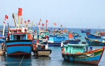 Ưu đãi bảo hiểm tàu cá - Những phản hồi tích cực