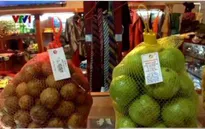 Tổng rà soát nguồn gốc hoa quả tại Sân bay Nội Bài