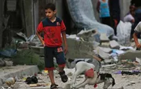 Những ngày yên bình của người dân ở Dải Gaza